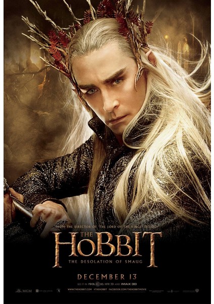 The Hobbit The Desolation Of Smaug (2013) 6 (Folyo / Afiş / Poster) 7175 ( 70 cm x 100 cm )
