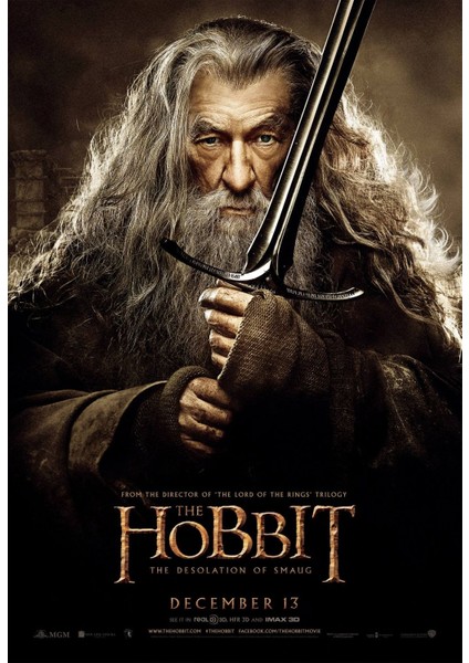 The Hobbit The Desolation Of Smaug (2013) 8 (Folyo / Afiş / Poster) 7177 ( 70 cm x 100 cm )