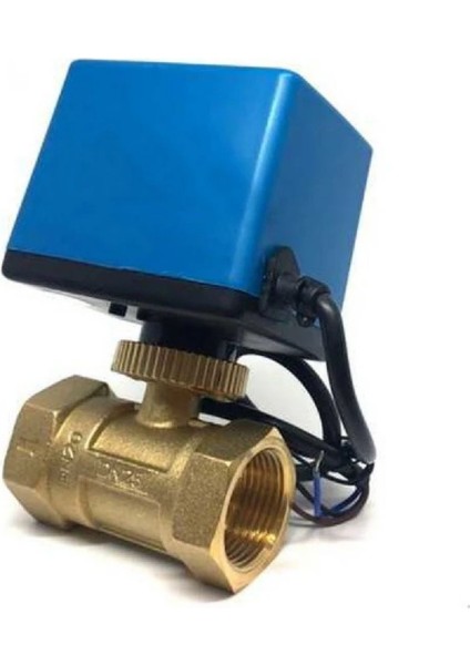 Motorlu Küresel Su Vanası DN20 220V Senkron Motorlu G Bağlantılı 2 Yollu PN16 Elektrikli Zon Vana