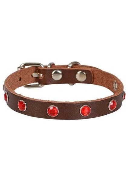 Gerçek Deriden Taşlı Kedi Boyun Tasması Medium Kahverengi 1X20-23 cm