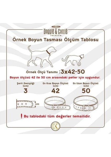 Gerçek Deriden Taşlı Kedi Boyun Tasması Medium Kahverengi 1X20-23 cm fırsatları