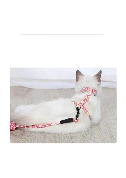 Kedi Gezdirme Göğüs Tasması