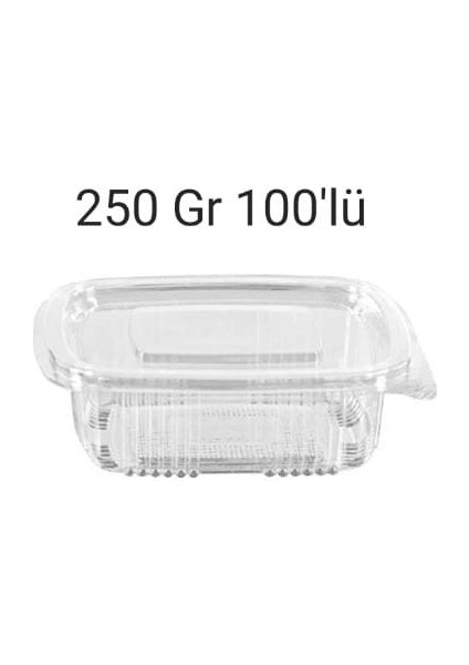250 cc Sızdırmaz Gıda Kabı 100'LÜ