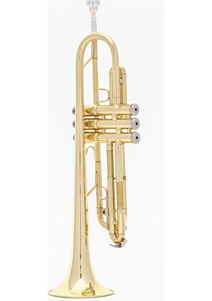 SX-103 Eb Saksafon fiyatları