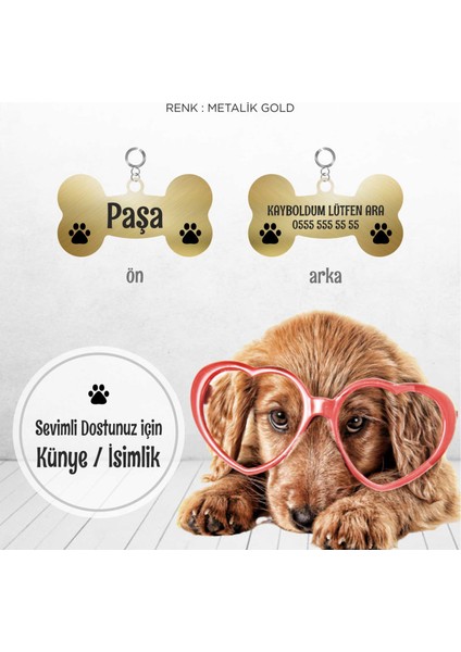 Köpeklere Özel Metalik Gold Künye