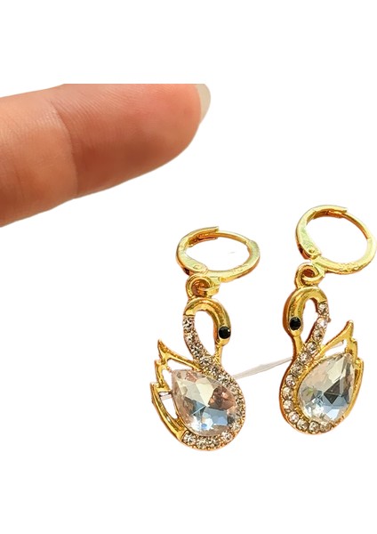 Şık ve Narin Küpeler (Yurt Dışından)