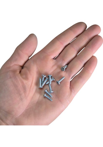 3.5X13 mm Silindir Düz Tornavida Başlı Sivri Uçlu Vida Ysb Sac Vidası -100 Adet