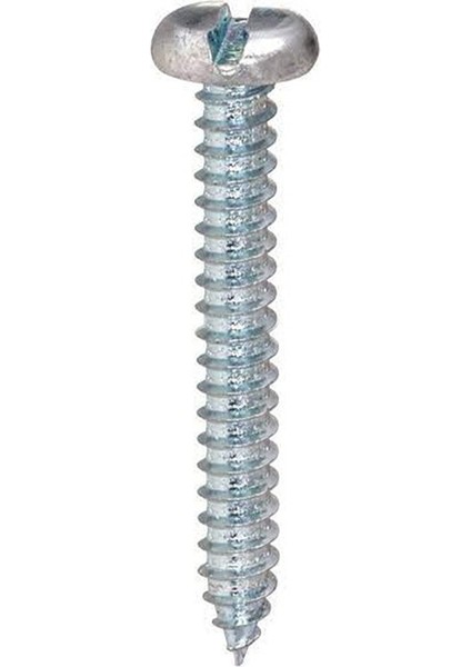 4.2X45 mm Silindir Düz Tornavida Başlı Sivri Uçlu Vida Ysb Sac Vidası -100 Adet