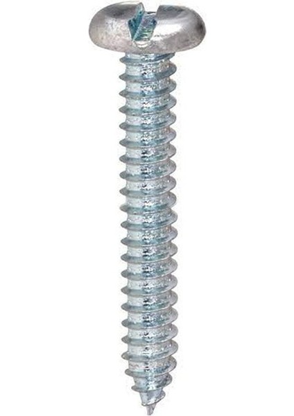 4.8X38 mm Silindir Düz Tornavida Başlı Sivri Uçlu Vida Ysb Sac Vidası -100 Adet