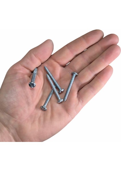 4.8X38 mm Silindir Düz Tornavida Başlı Sivri Uçlu Vida Ysb Sac Vidası -100 Adet fiyatları