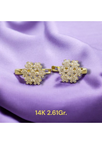 14 Ayar 2.61 Gram Altın Kartanesi Küpe