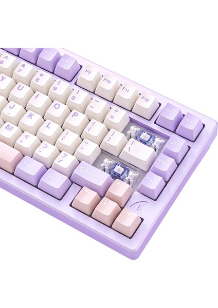 Attack Shark X75 Full Kablosuz Mekanik Klavye - Alüminyum Gövde, Rgb Aydınlatma ve Yüksek Performans modelleri