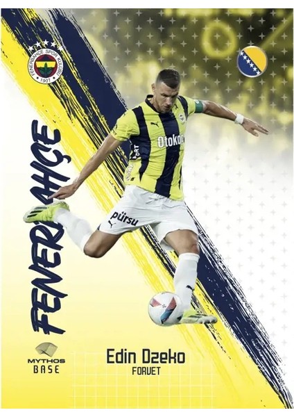 Fenerbahçe 2024-25 Sezon Kartları - Kutu modelleri