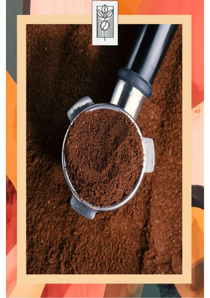 Toffee Nut Coffee 200 gr Toffee Nut Aromalı Filtre Kahve
