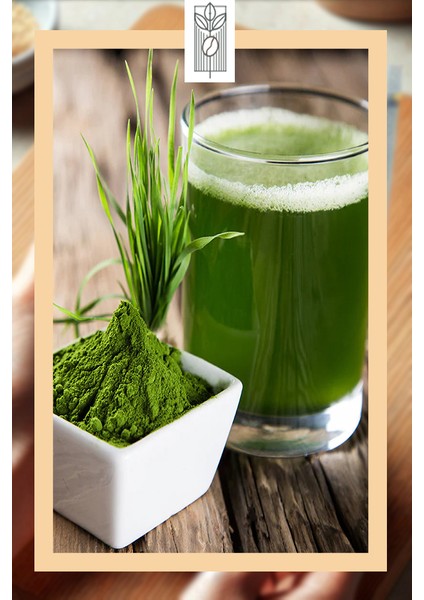 Organik Arpa Çimi Tozu 50G, Premium Barley Grass Powder ( Glutensiz, Vegan, Katkısız ) modelleri