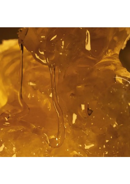 Milk & Honey Gold Besleyici El ve Vücut Kremi modelleri