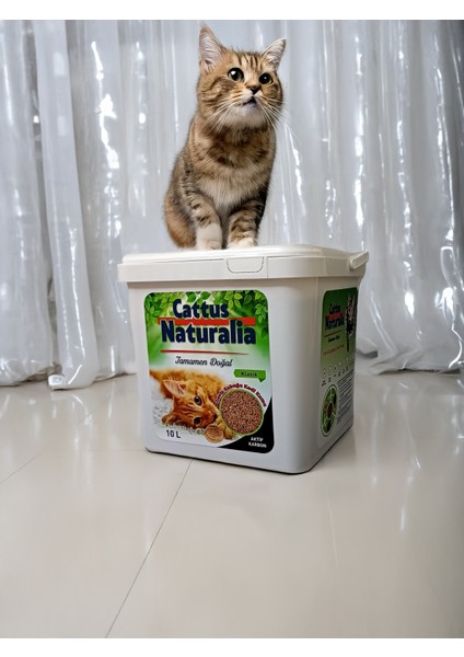 Klasik Aktif Karbonlu Ceviz Kabuğundan Yapılmış Doğal Kedi Kumu 3'lü; %100 Organik, Tozsuz, Kokusuz 3x10 Litre modelleri