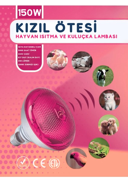 (4 Adet) 150W Kızılötesi (Infrared) Isıtıcılı Hayvan Isıtma ve Kuluçka Lambası (Kırmızı Işık) E27 (Kalın Duy)