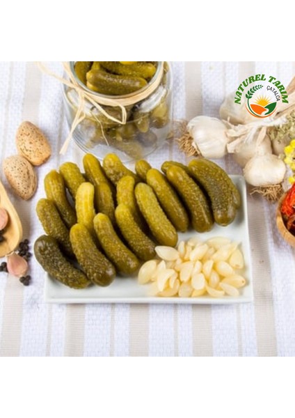 Doğal Fermente 2 Li Salatalık & Karışık Turşu modelleri