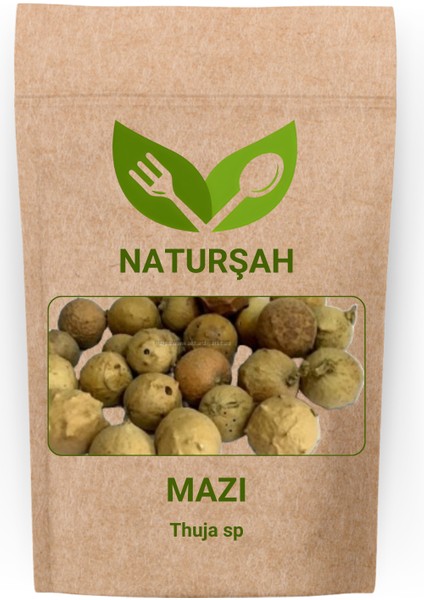 Mazı (Thuja Sp) 50 gr Naturşah Mazı (Thuja Sp) 50 gr
