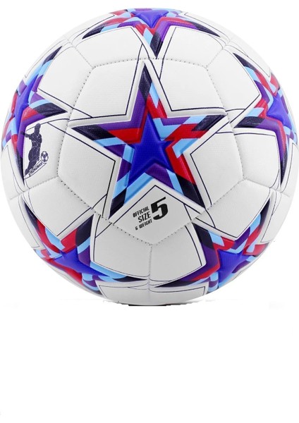 5'li Set Yetişkin Çocuk Sert Zemin Futbol Topu Basketbol Topu Seti+Pompa+Tekmelik+Çorap fiyatları