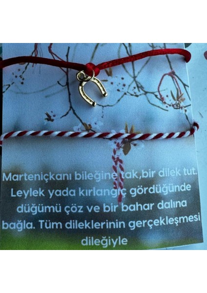 Marteniçka Bileklik Şans Bilekliği Şans ve Uğurun Simgesi Nal Figürlü Dilek Bilekliği fiyatları