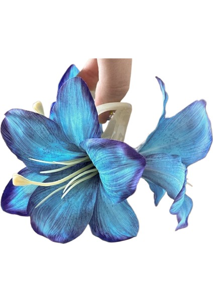 Bükülmüş Klips Başın Arkası Plaka Saç Tek Klips (Yurt Dışından)