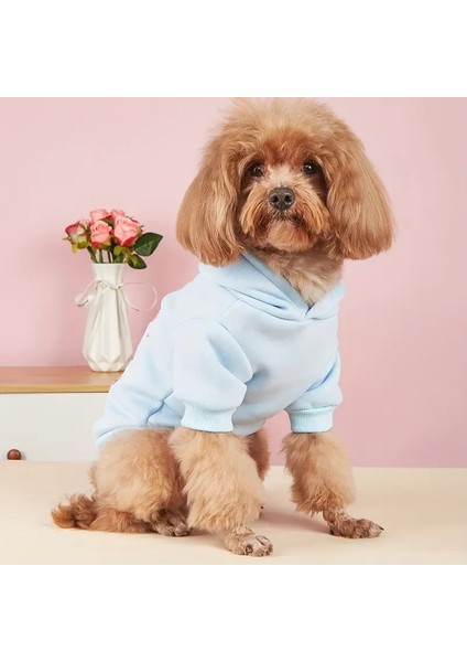 Kedi Köpek İçin Sevgililer Günü Açık Mavi Kapüşonlu Sweatshirt