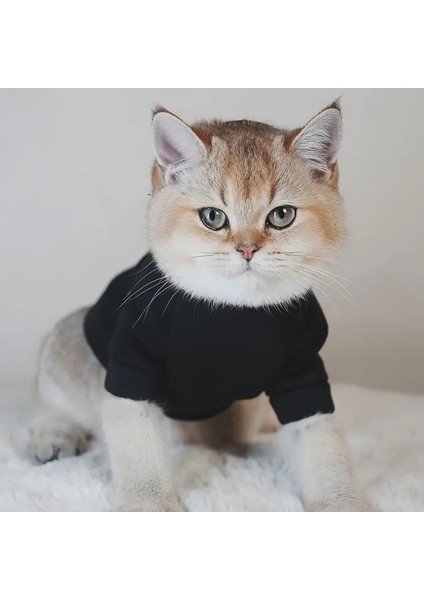 Kedi Köpek İçin The Angel Kapüşonlu Siyah Sweatshirt modelleri