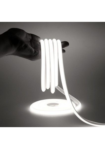 12V Neon LED Hortum (Beyaz)