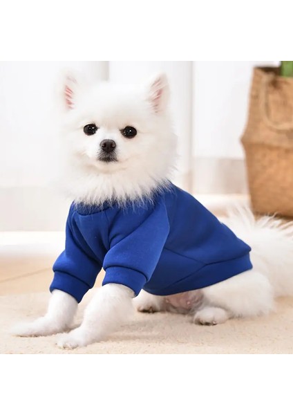 Kedi Köpek İçin Ayıcıklı Mavi Sweatshirt
