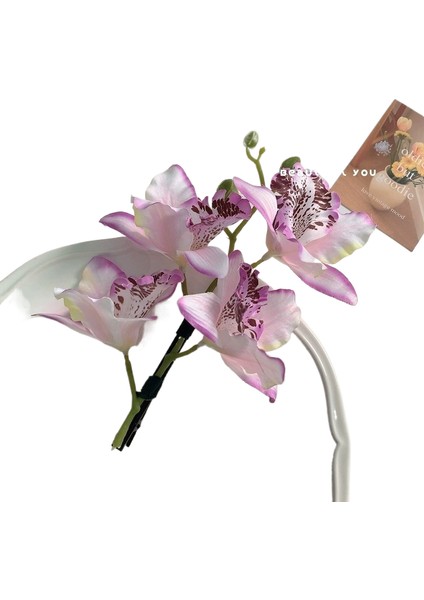 Saçak Plakası Saç Aksesuarları (Yurt Dışından)