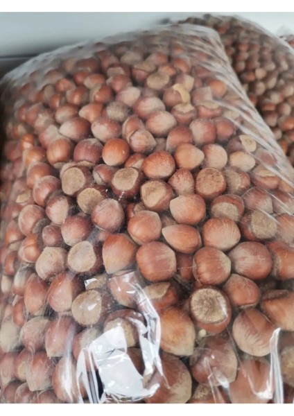 Kabuklu Fındık 1kg - Doğal Yeni Mahsul
