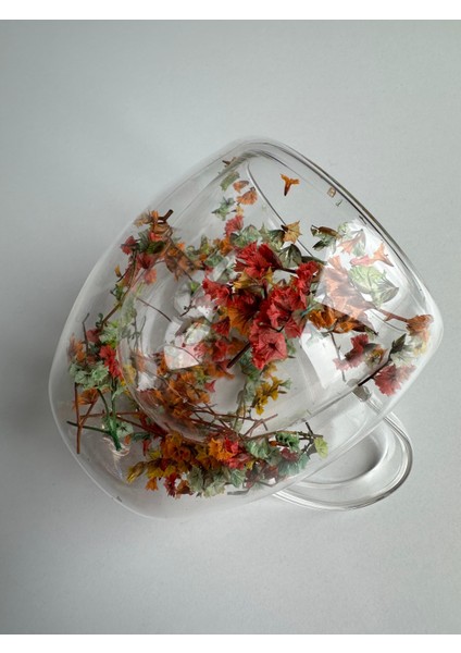 Estetik ve Kullanışlı Çift Cidarlı Cam Bardak - Zarif ve Fonksiyonel