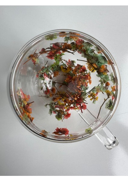 Estetik ve Kullanışlı Çift Cidarlı Cam Bardak - Zarif ve Fonksiyonel fiyatları