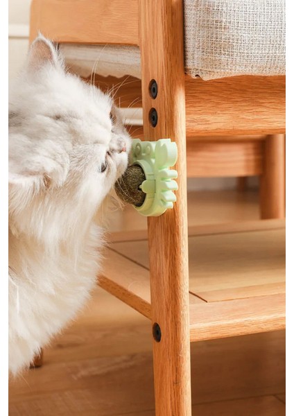 Kedi Yalama Topu Kedi Otu Duvara Sabitleme