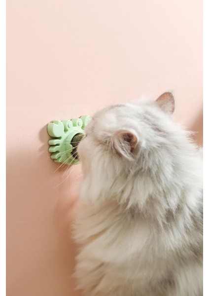 Kedi Yalama Topu Kedi Otu Duvara Sabitleme fiyatları