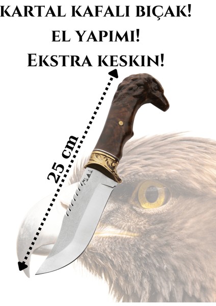 Kartal Başlı Şef Bıçağı Paslanmaz Çelik 25CM Ceviz Ağacı Kılıf li