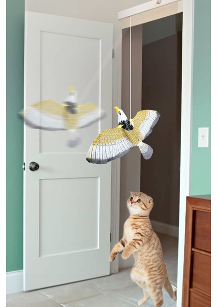 Kedi Oyuncağı Pilli 360 Derece Dönen Kartal Kuş İpli Kedi Oyuncağı