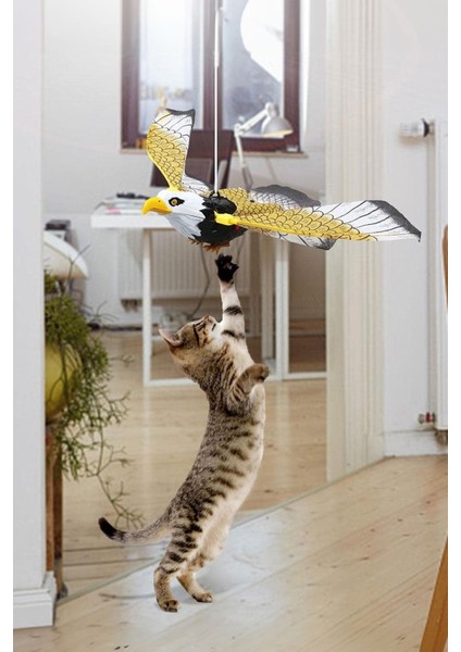 Kedi Oyuncağı Pilli 360 Derece Dönen Kartal Kuş İpli Kedi Oyuncağı modelleri