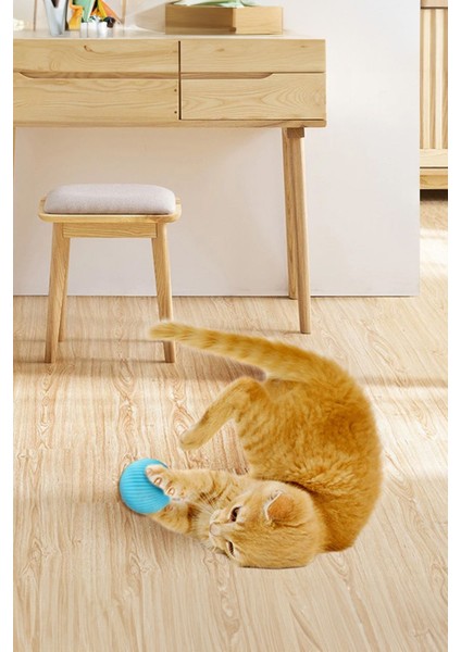 Evcil Hayvan Topları Yeni Nesil Kedi Köpek Oyuncağı Hareketli