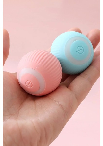 Evcil Hayvan Topları Yeni Nesil Kedi Köpek Oyuncağı Hareketli modelleri