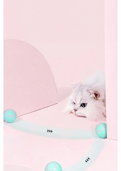 Evcil Hayvan Topları Yeni Nesil Kedi Köpek Oyuncağı Hareketli indirimleri