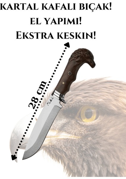 Kartal Başlı Şef Bıçağı Paslanmaz Çelik 28CM Ceviz Ağacı Kılıf li