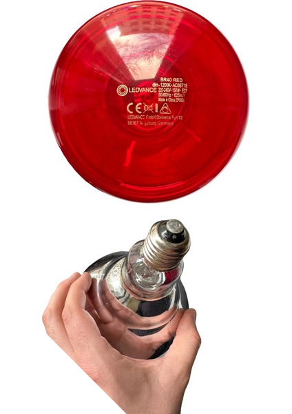 (6 Adet) Osram Ledvance 150W (Kırmızı Işık) Infrared Isıtıcılı Lamba E27 Duylu (Kalın Duy)