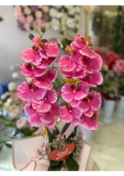 Yapay Orkide Islak Orkide Pembe Orkide Sevgiliye Hediye