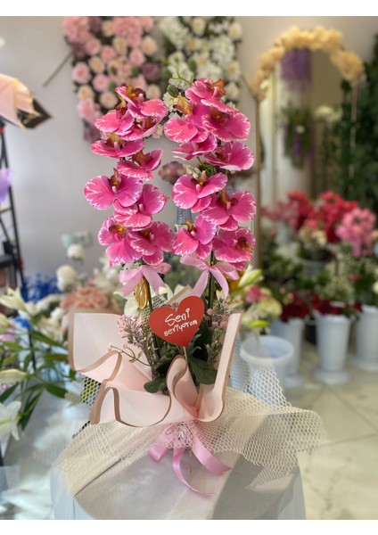 Yapay Orkide Islak Orkide Pembe Orkide Sevgiliye Hediye