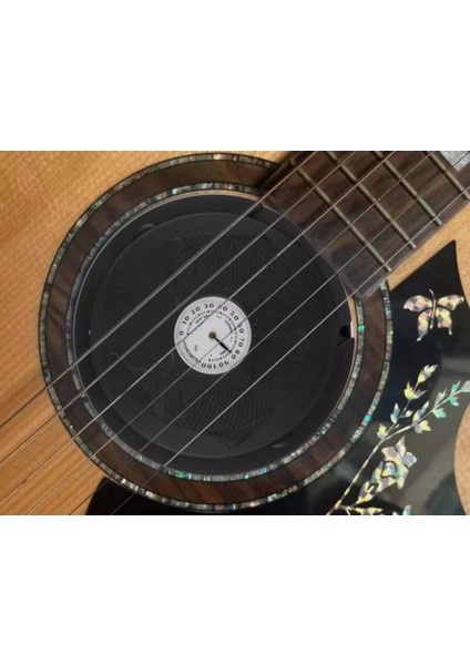 Fh-10 Gitar Nemlendirici (Hygrometre) modelleri