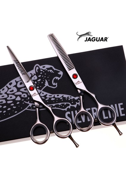 Mor Tarzı Saç Veya Profesyonel Yüksek 5.5 Inç Kuaförlük Veya Tg Kesme Seti Berber Dükkanı Salonları Makaslar (Yurt Dışından) indirimleri