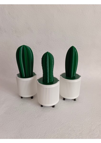 Yapay Kaktüs 3'lü Set Yk4 - Yapay Çiçek - Yapay Bitki